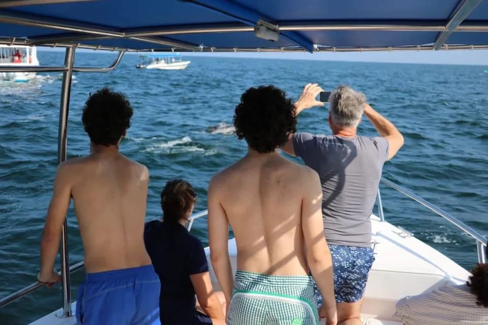Muscat Dolphin Cruise With Shared Transfers - Image 11