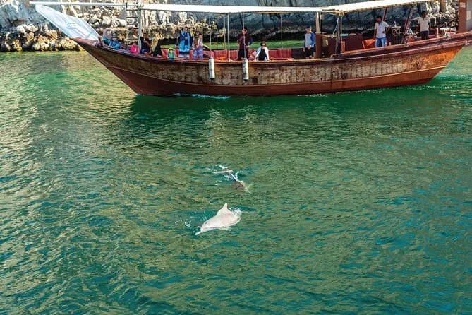 Muscat Dolphin Cruise With Shared Transfers - Image 6