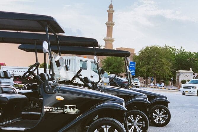 Heritage Tour by the Classic Carts in Nizwa, Private tour - Image 3