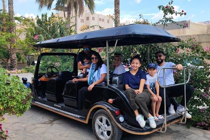Heritage Tour by the Classic Carts in Nizwa, Private tour - Image 5