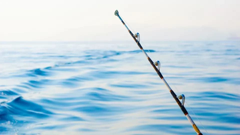 Game Fishing Tour - Image 1