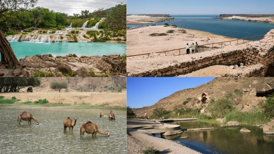 Salalah : Private Half Day East of Dhofar - Image 1